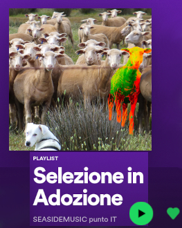 Selezione in Adozione